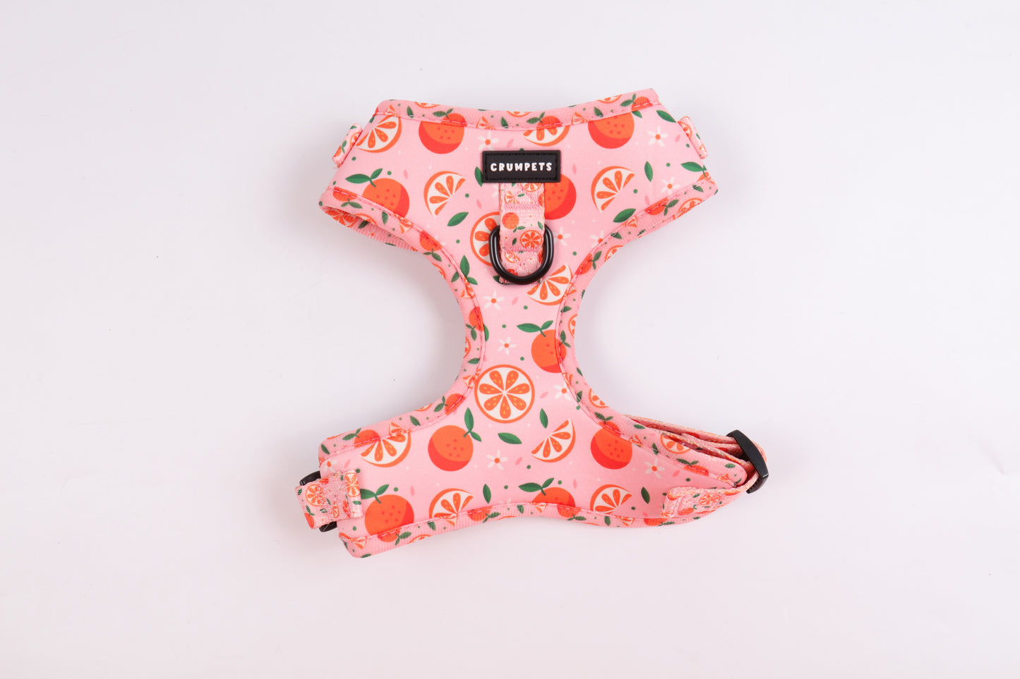 Crumpets Boutique - Brighten Up Walks with Our 'Fruity Cutie' Dog Harness