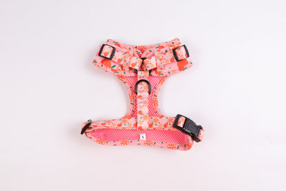 Crumpets - Brighten Up Walks with Our 'Fruity Cutie' Dog Harness