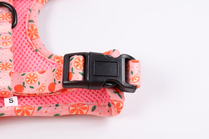 Crumpets - Brighten Up Walks with Our 'Fruity Cutie' Dog Harness