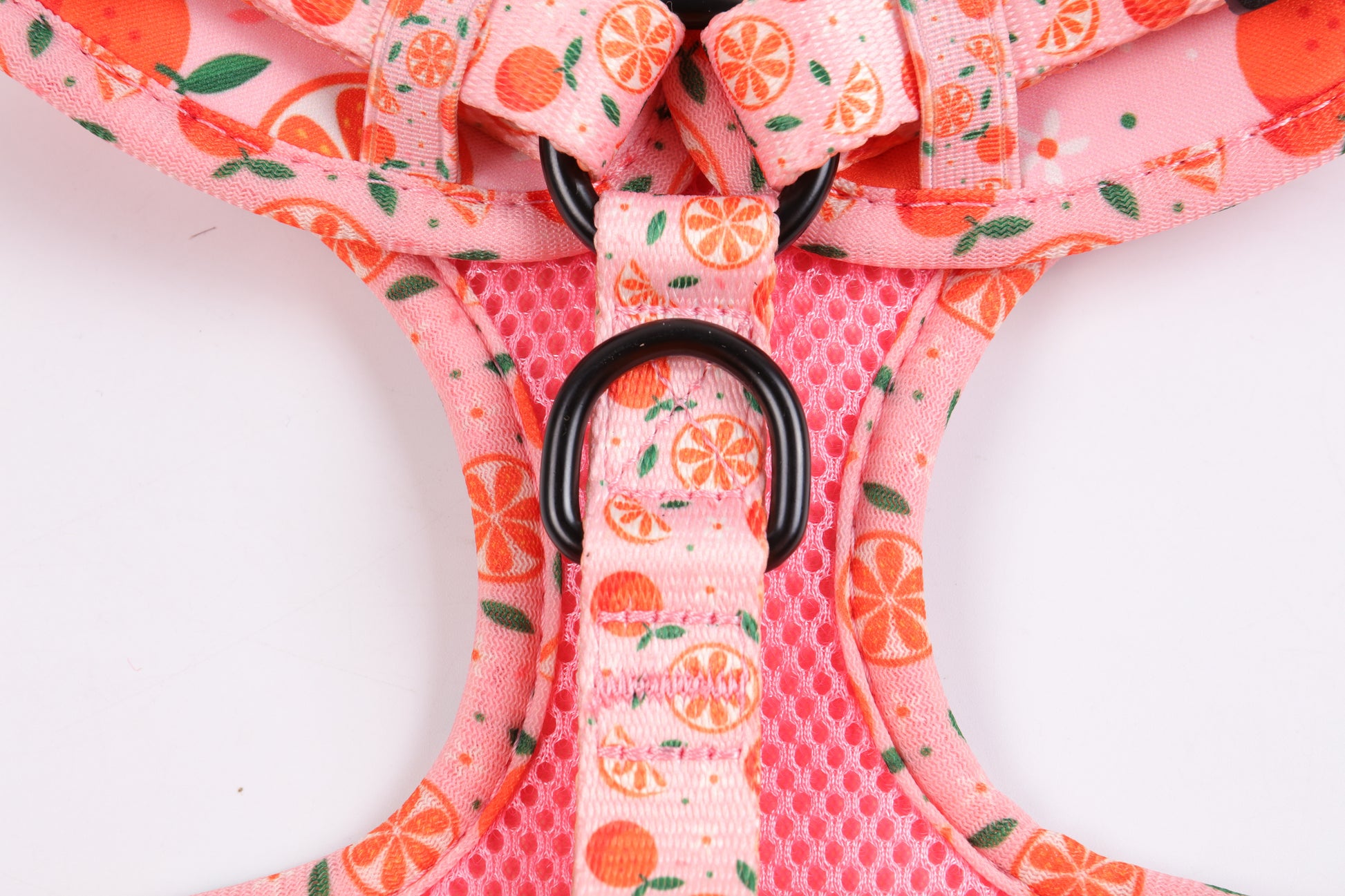 Crumpets - Brighten Up Walks with Our 'Fruity Cutie' Dog Harness