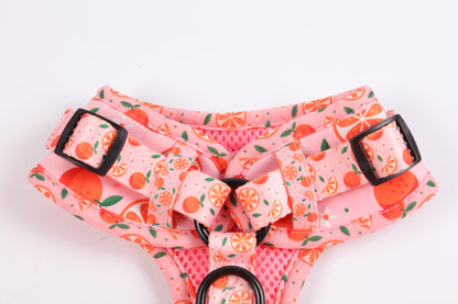 Crumpets Boutique - Brighten Up Walks with Our 'Fruity Cutie' Dog Harness