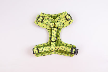 Avocadog D-Ring Harness - Crumpets Boutique