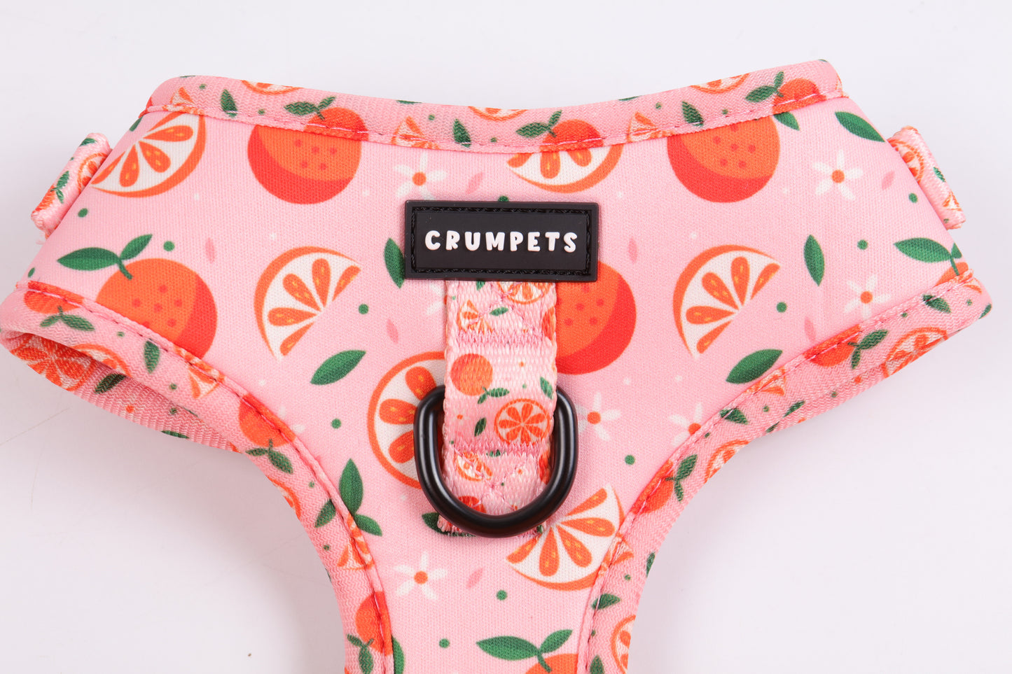 Crumpets - Brighten Up Walks with Our 'Fruity Cutie' Dog Harness