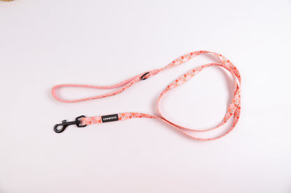 Crumpets Boutique - Brighten Up Walks with the Fruity Cutie Dog Lead