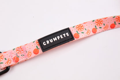 Fruity Cutie Adjustable Harness, Lead & Bag Bundle - Crumpets Boutique