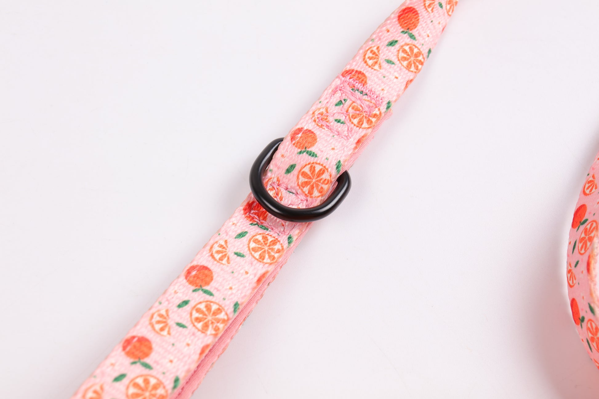 Crumpets Boutique - Brighten Up Walks with the Fruity Cutie Dog Lead