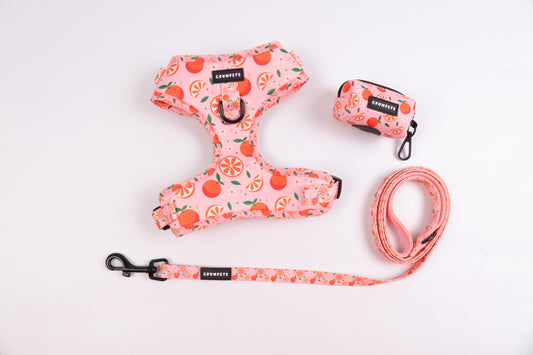 Fruity Cutie Adjustable Harness, Lead & Bag Bundle - Crumpets Boutique